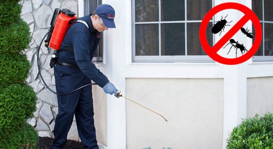 Pazarcık Dezenfeksiyon böcek ilaçlama ve haşere kontrolü — ilaclama-tr.com